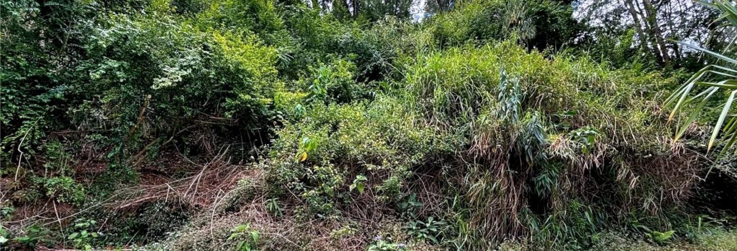 Terrain  4289 m² à vendre à Salazie (97433)