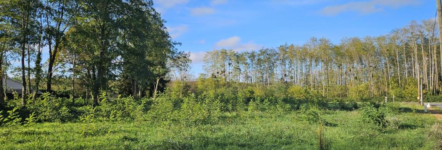 Terrain 487 m² à construire Castres-Gironde (33640)