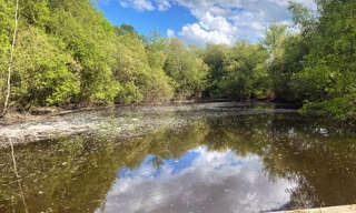 Commerce  15743 m² à vendre à Dussac (24270)