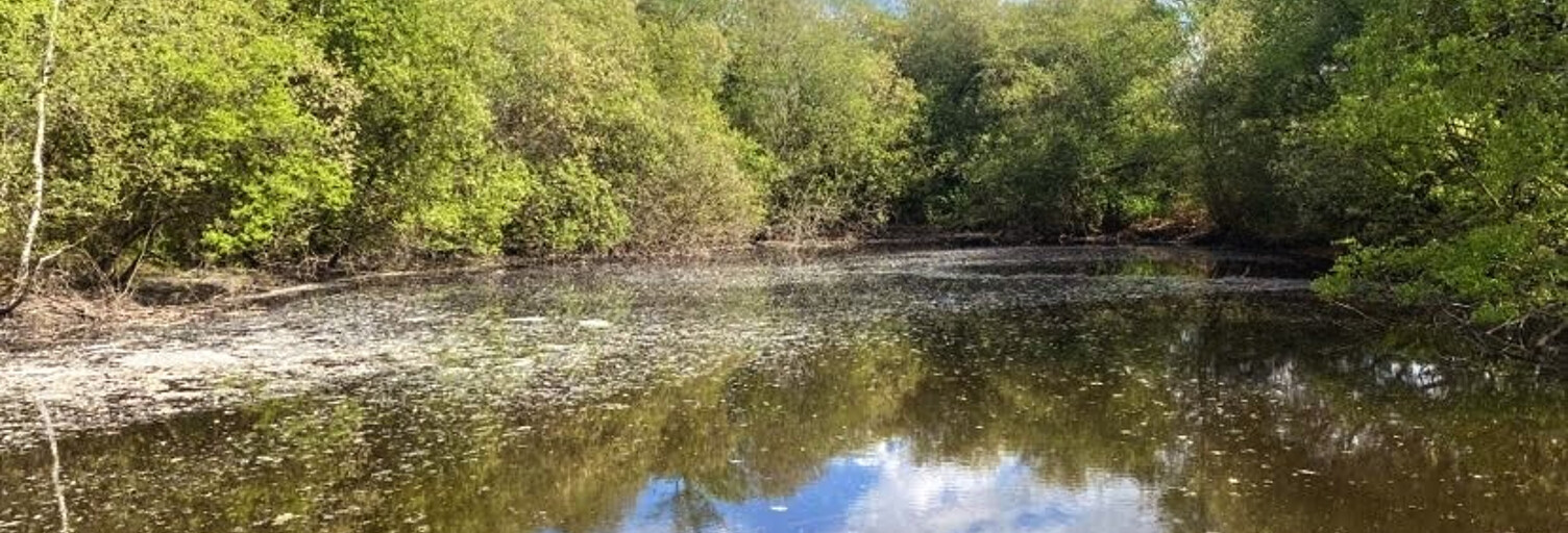 Commerce  15743 m² à vendre à Dussac (24270)