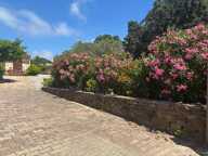 Vente Maison Peyriac de Mer ( 11440) 532000 HAI — photo 2