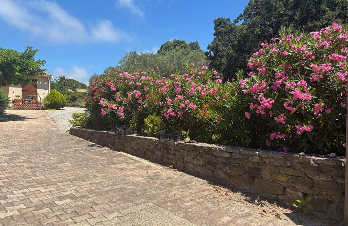 Vente Maison Peyriac de Mer ( 11440) 532000 HAI — photo 2