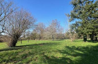 Terrain plat constructible arboré 2000 m2 secteur Bannalec — photo du bien