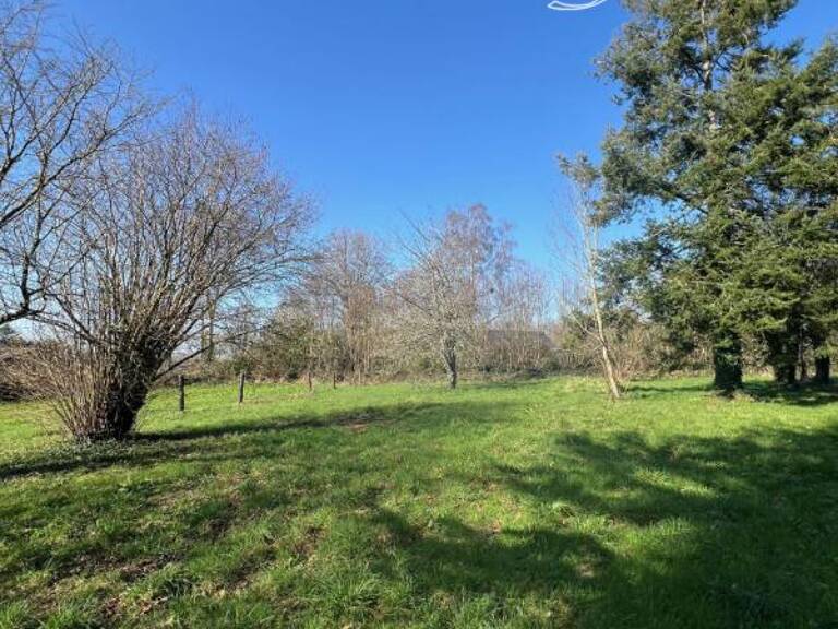 Terrain plat constructible arboré 2000 m2 secteur Bannalec — photo 1