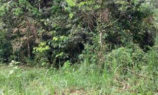 Terrain  5000 m² à vendre à Le Lamentin (97232)