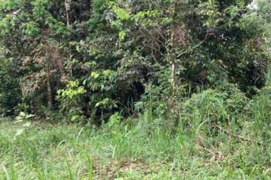 Terrain  373000 €