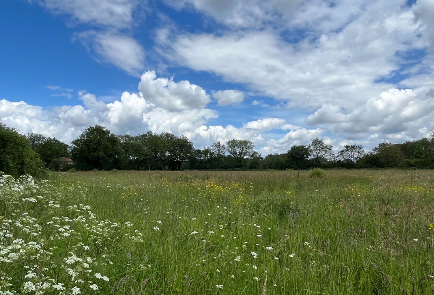 EN HAMEAU ENTRE LE CELLIER ET ST MARS DU DESERT — photo 1