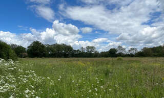 Terrain  1000 m² à vendre à Le Cellier (44850)