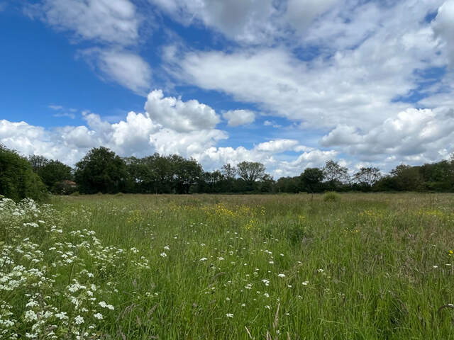 EN HAMEAU ENTRE LE CELLIER ET ST MARS DU DESERT — photo du bien