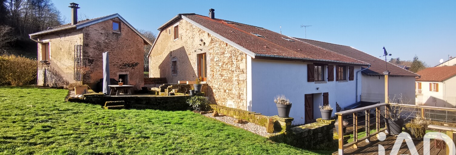 Maison 8 Pièces 279 m² à vendre à Trémonzey (88240)