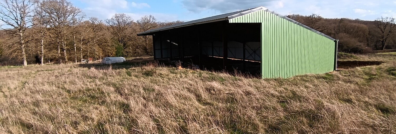 Terrain  11588 m² à vendre à Villiers-Saint-Benoît (89130)