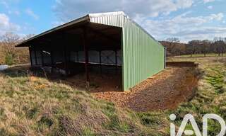 Terrain  11588 m² à vendre à Villiers-Saint-Benoît (89130)