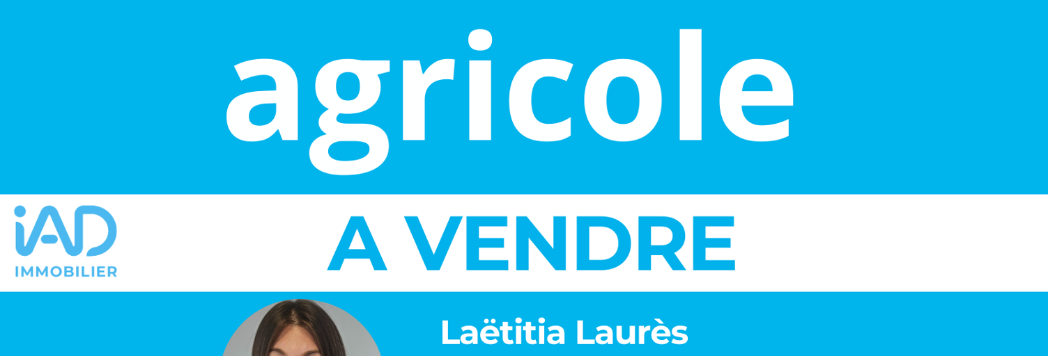 Terrain  61370 m² à vendre à Val-au-Perche (61260)