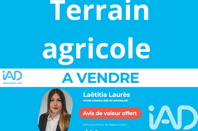 Terrain  50000 €
