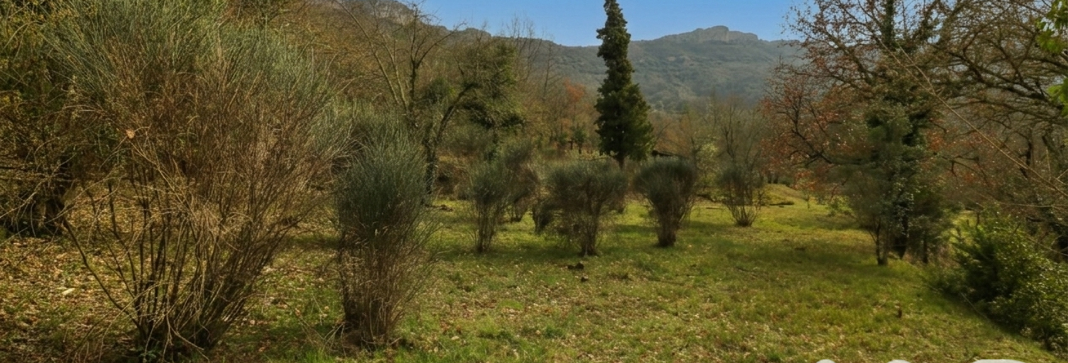 Maison 4 Pièces 150 m² à vendre à Mazaugues (83136)