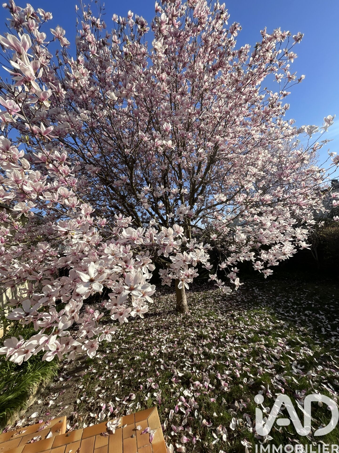 Epinay-sous-Senart - 55m² - 3p. - 2ch.