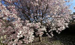 Maison 3 Pièces 55 m² à vendre à Épinay-sous-Sénart (91860)