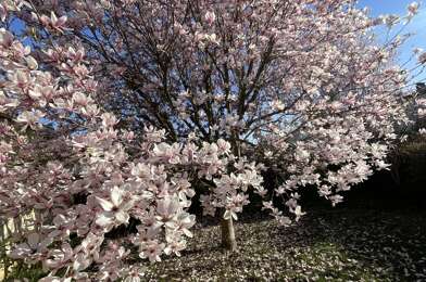 Maison 3 pièces 198000 €