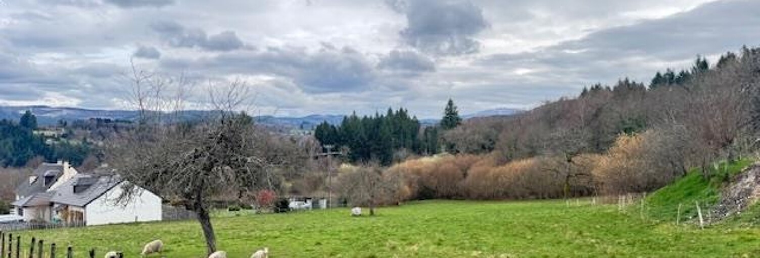 Terrain  4954 m² à vendre à Treignac (19260)