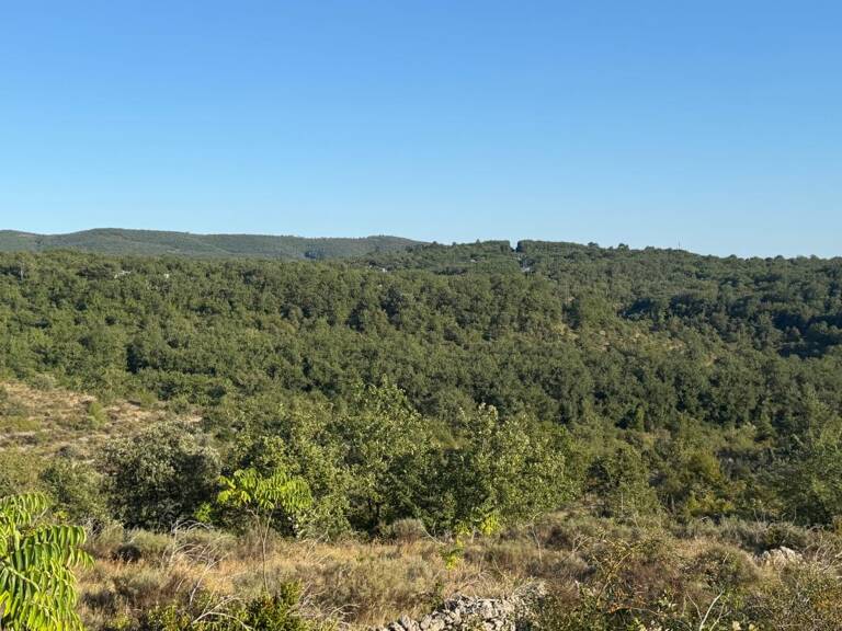 Terrain non constructible — photo 1