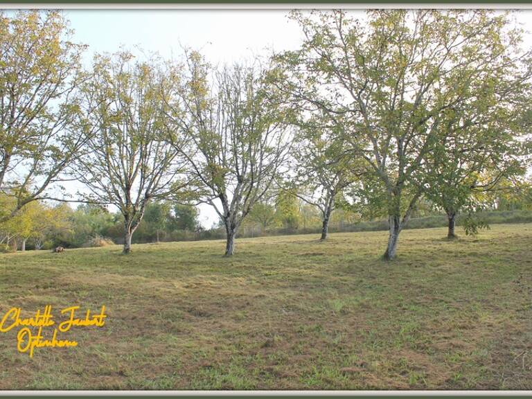 grand terrain — photo 1