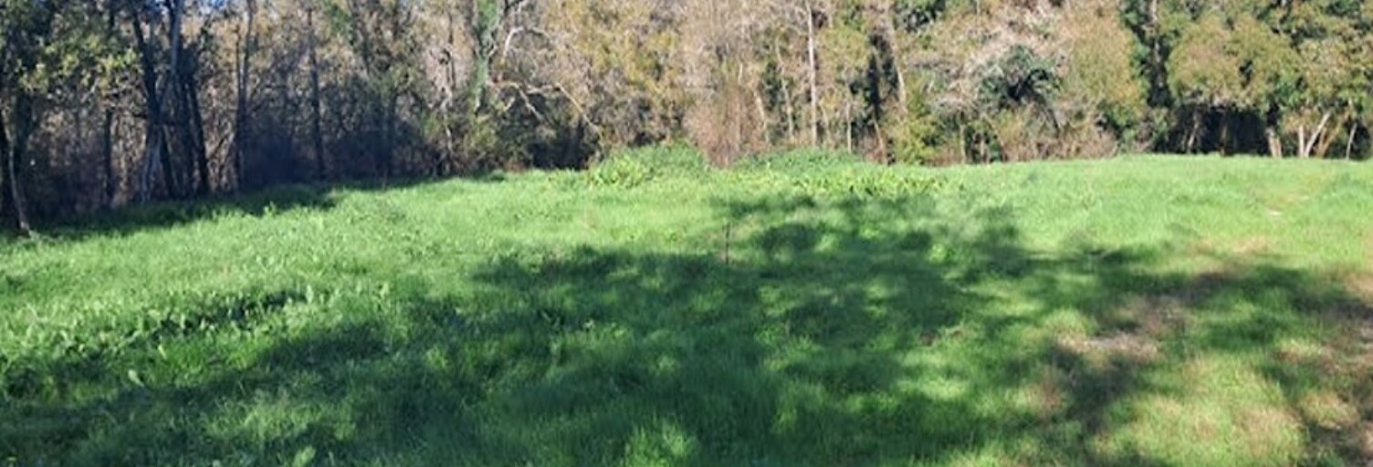 Terrain  470 m² à vendre à Martillac (33650)