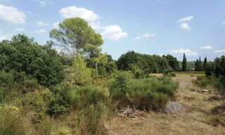 Terrain 2000 m² à construire Cotignac (83570)