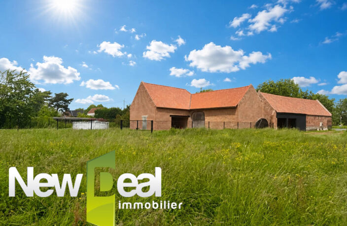 FERME AU CARRE / 3 CHAMBRES + UN BUREAU / 240M2 DE DEPENDANCES/ — photo 2