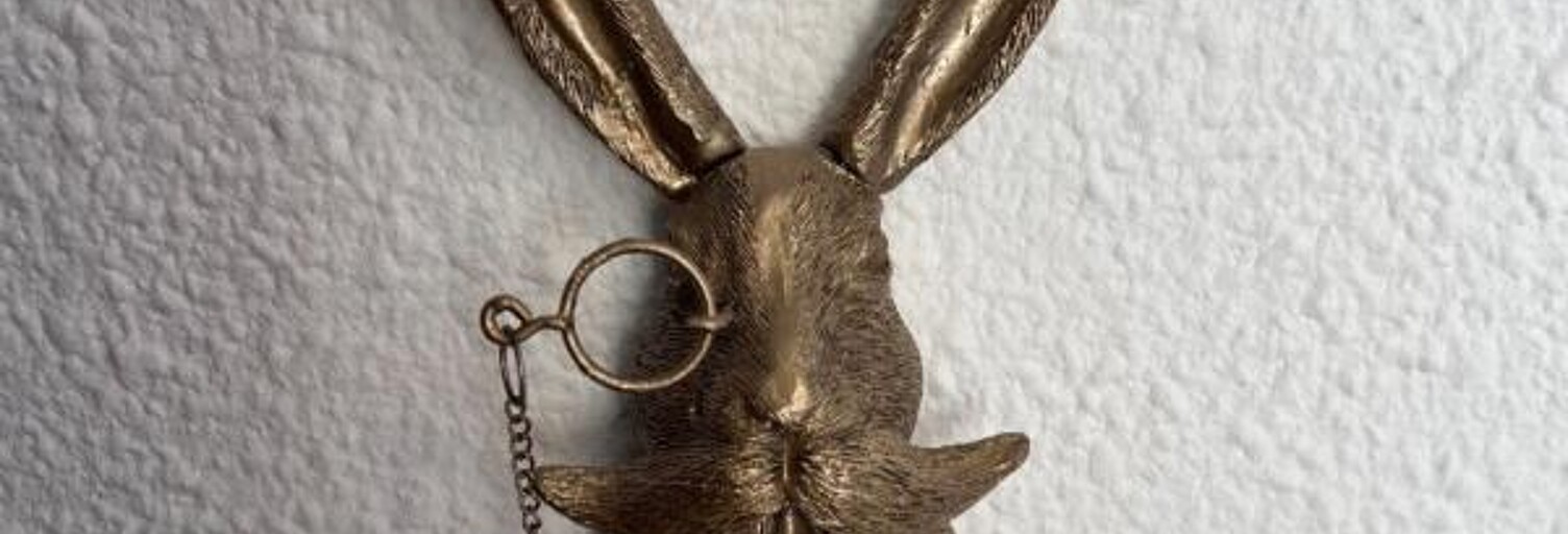 Maison 7 Pièces 162 m² à vendre à Thizy-les-Bourgs (69240)