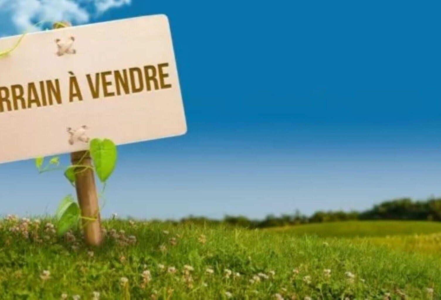 Raphèle-les-Arles : terrain constructible 301 m² — photo 1