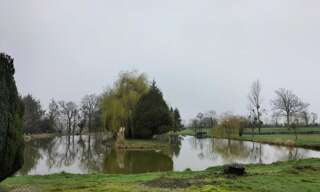 Terrain  12264 m² à vendre à Saint-Cyr-en-Pail (53140)