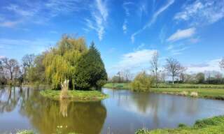 Terrain  12264 m² à vendre à Saint-Cyr-en-Pail (53140)