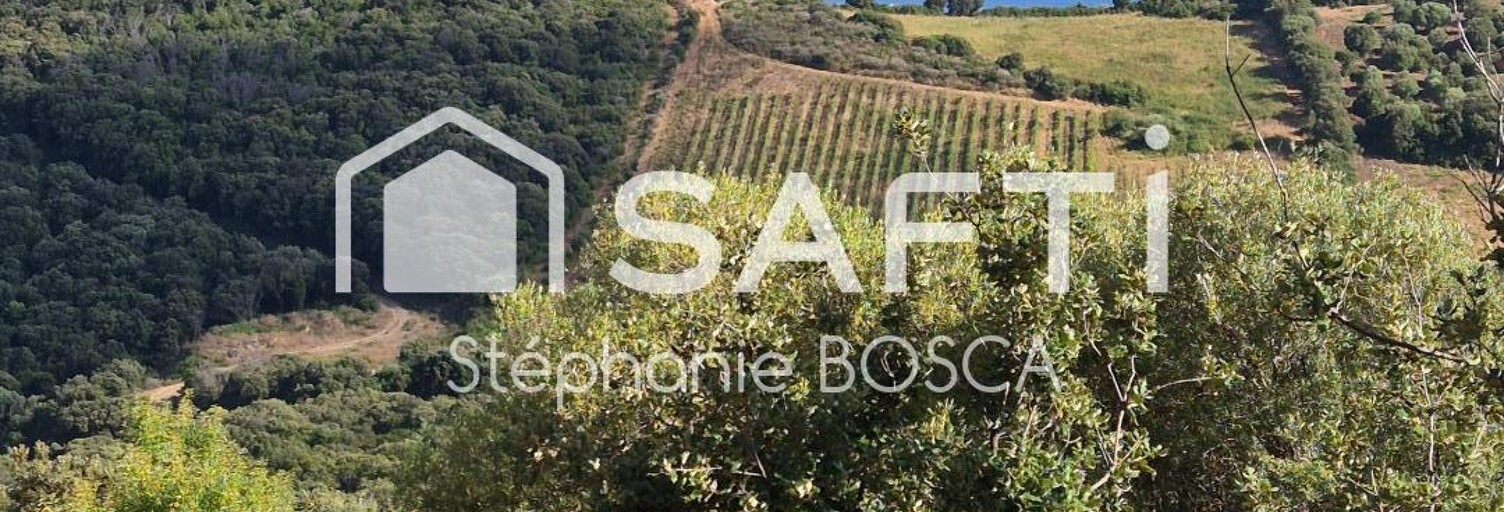 Terrain  4980 m² à vendre à Serra-di-Ferro (20140)