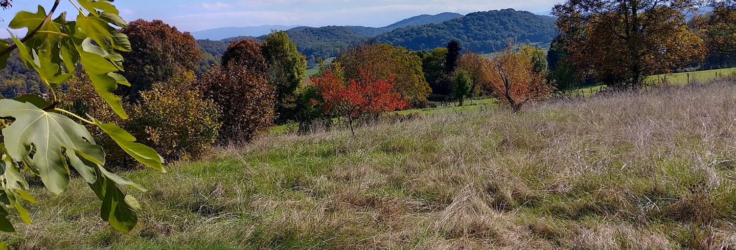 Terrain  2175 m² à vendre à Cuzieu (01300)