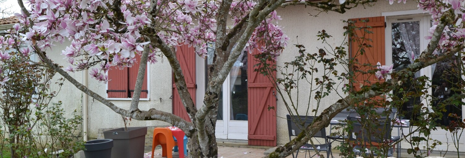 Photo N° 2