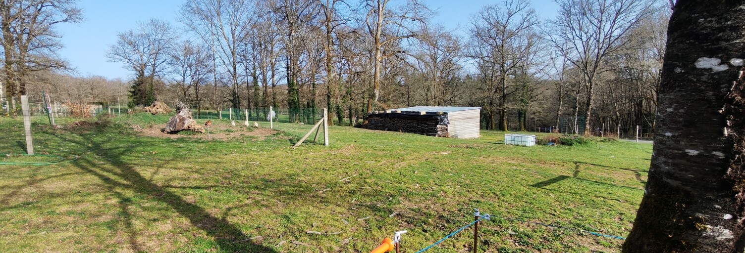 Photo N° 2