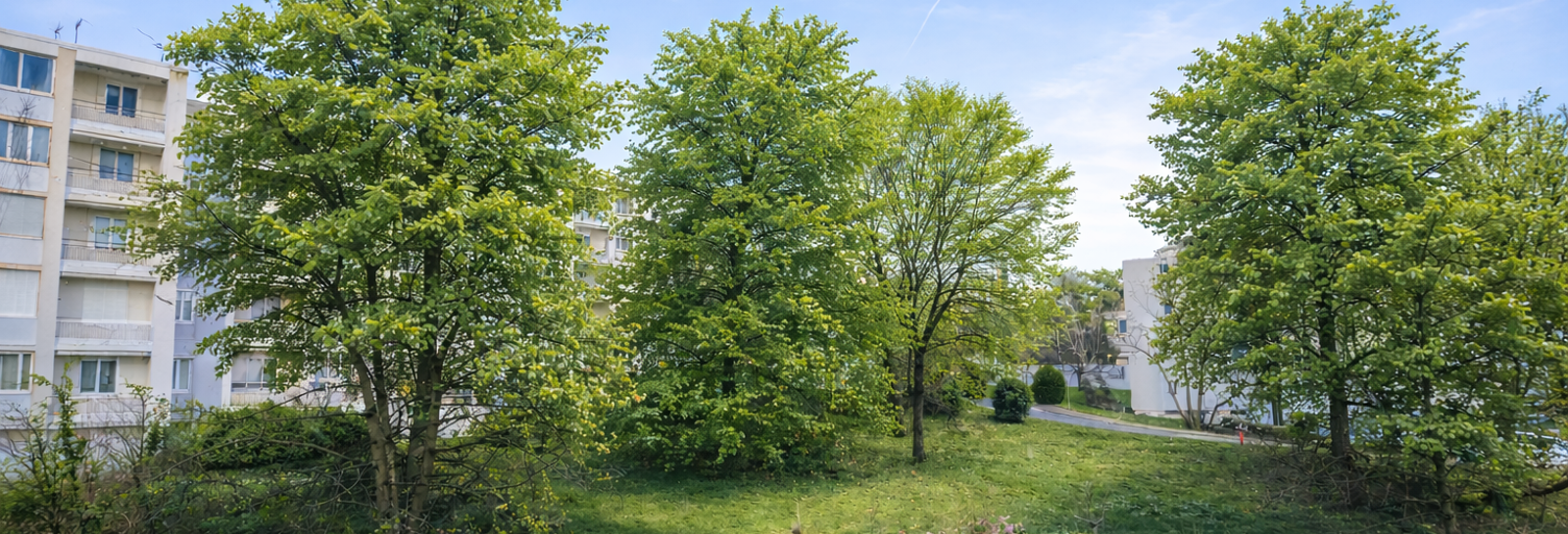 Appartement 3 Pièces 55 m² à vendre à Lyon 5 (69005)