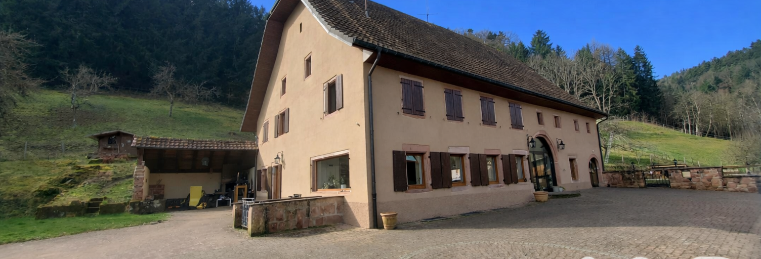 Maison 10 Pièces 423 m² à vendre à Sainte-Croix-aux-Mines (68160)