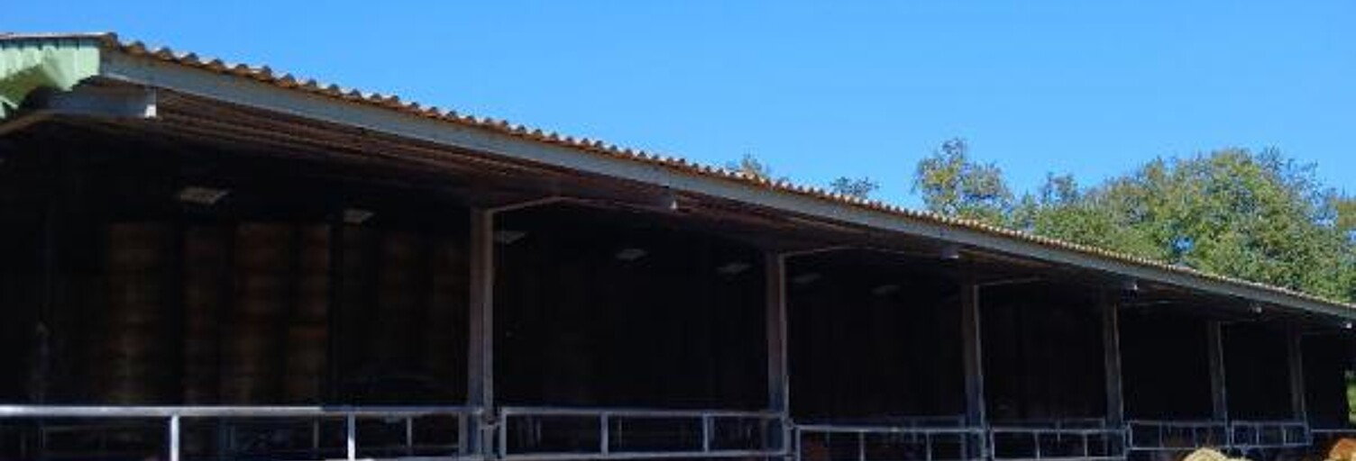 Maison 1 Pièce 1800 m² à vendre à Ladignac-le-Long (87500)