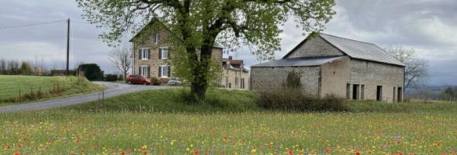 Maison 10 Pièces 214 m² à vendre à Bussière-Galant (87230)