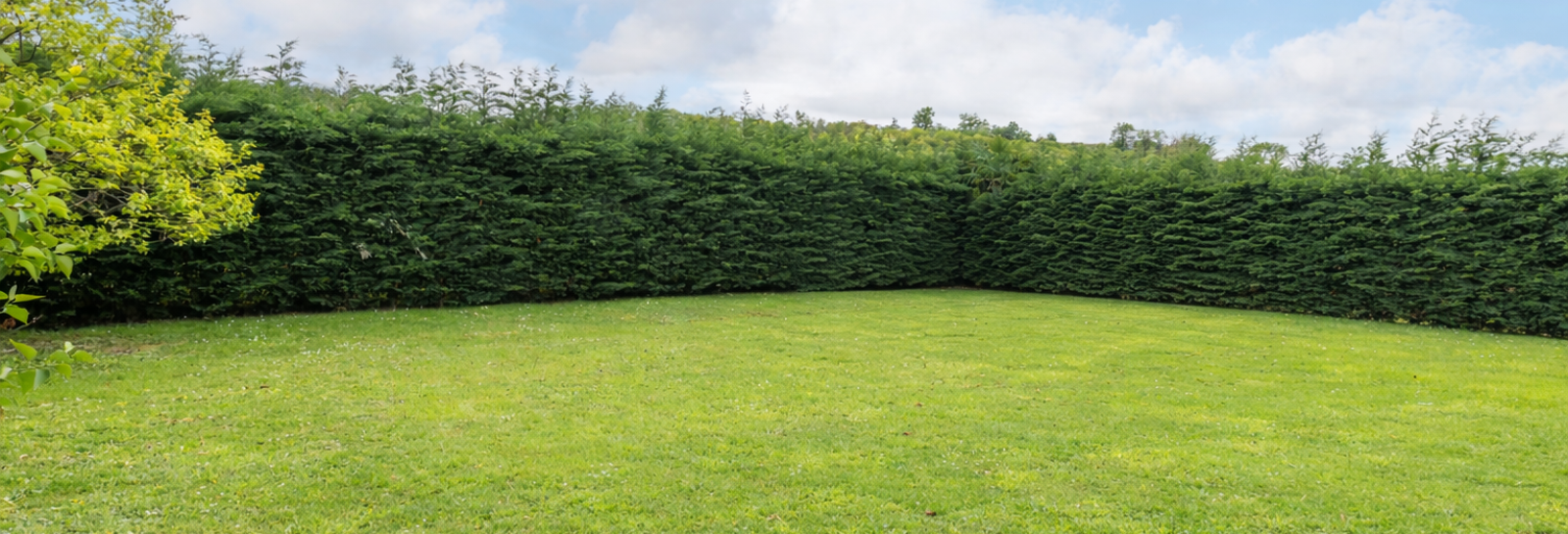 Terrain  599 m² à vendre à Chaponnay (69970)