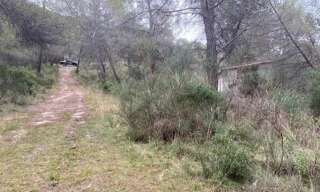 Terrain  11915 m² à vendre à Peille (06440)