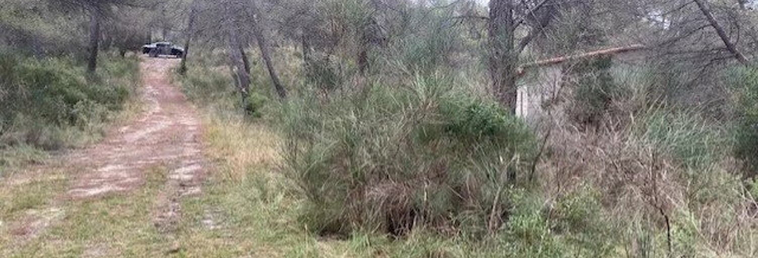 Terrain  11915 m² à vendre à Peille (06440)