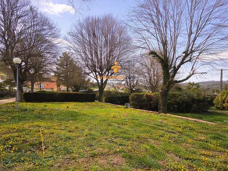 Terrain Plat arboré a 5mns de Lourdes — photo 1