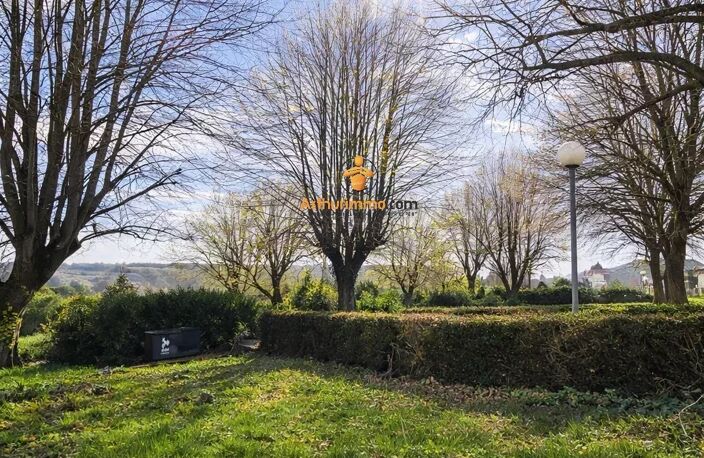 Terrain Plat arboré a 5mns de Lourdes — photo 3