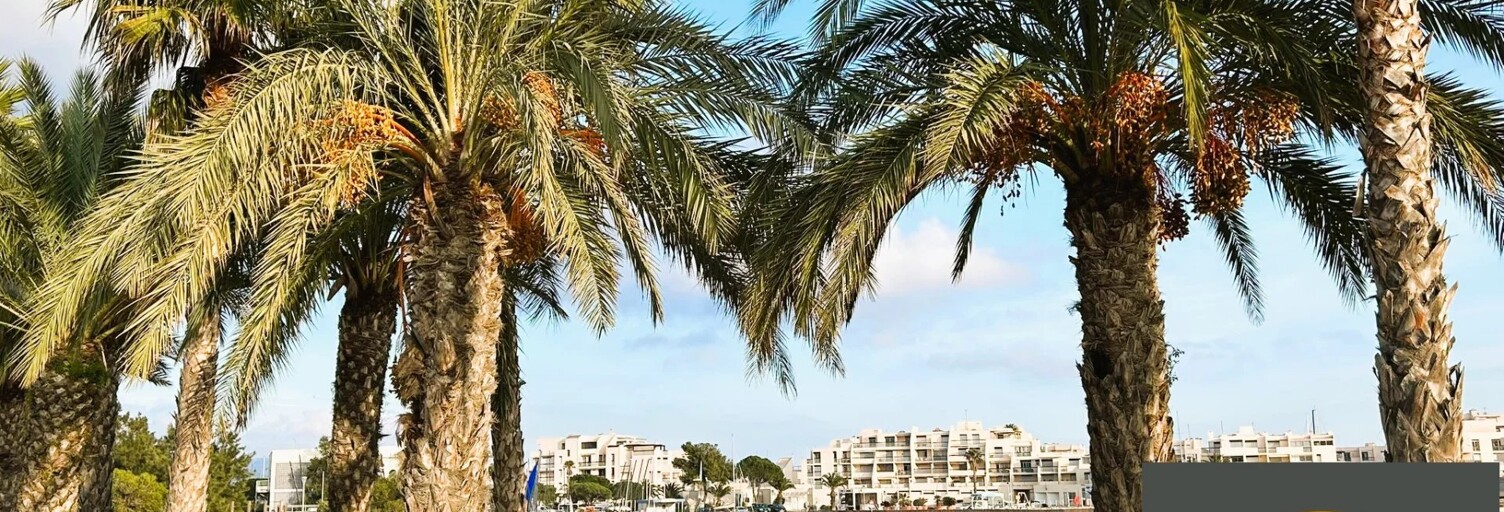 Appartement 3 Pièces 38 m² à vendre à Bormes-les-Mimosas (83230)