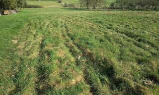 Terrain  3042 m² à vendre à La Neuveville-sous-Châtenois (88170)