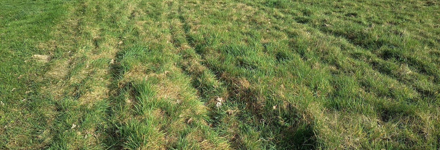 Terrain  3042 m² à vendre à La Neuveville-sous-Châtenois (88170)