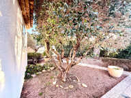 vente maison 5 Pièce(s) — photo 2