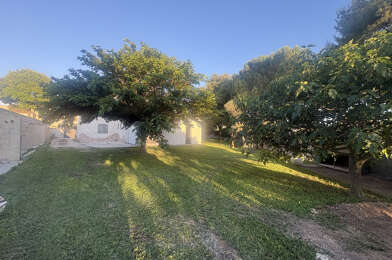 Terrain  339500 €